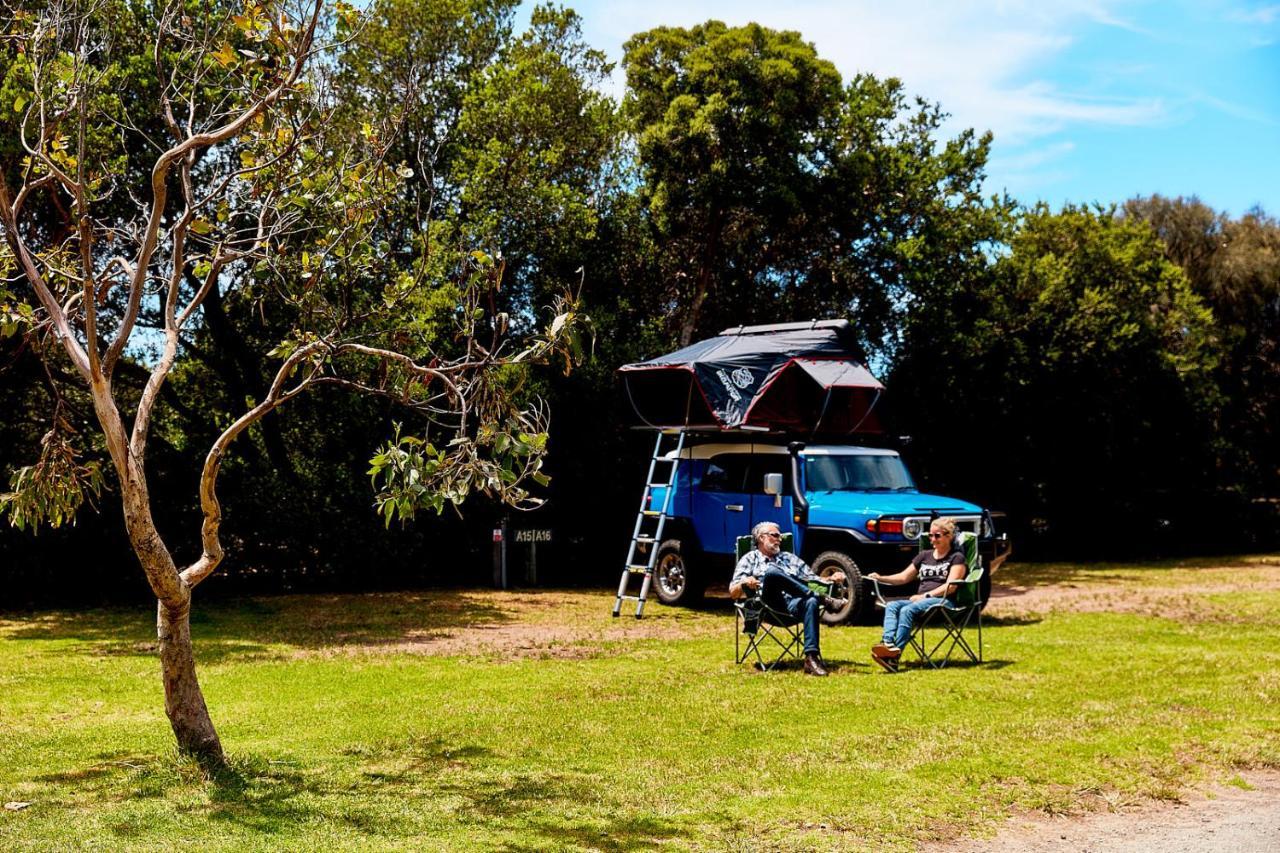 Kennett River Family Caravan Park Wye River Eksteriør billede