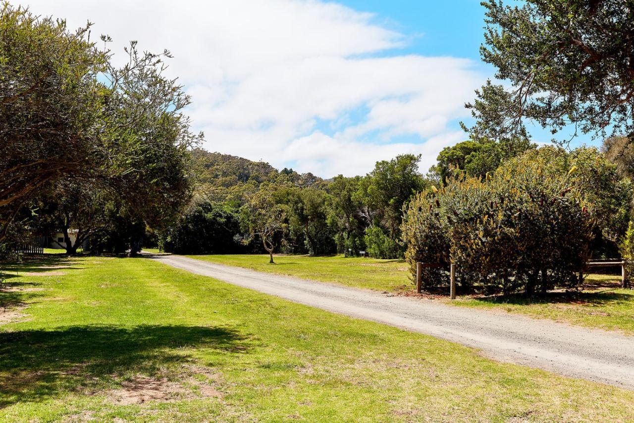 Kennett River Family Caravan Park Wye River Eksteriør billede